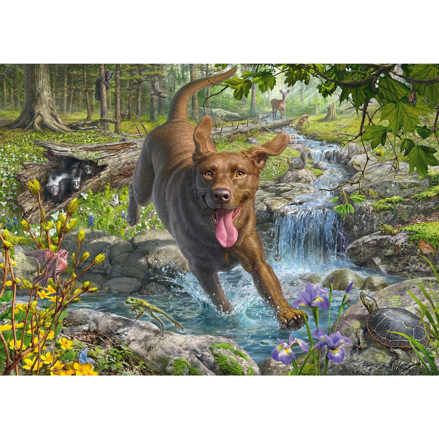 Mark Fredrickson: Hundeliebe - Frühlingsspaziergang mit Labrador Retriever, Puzzle