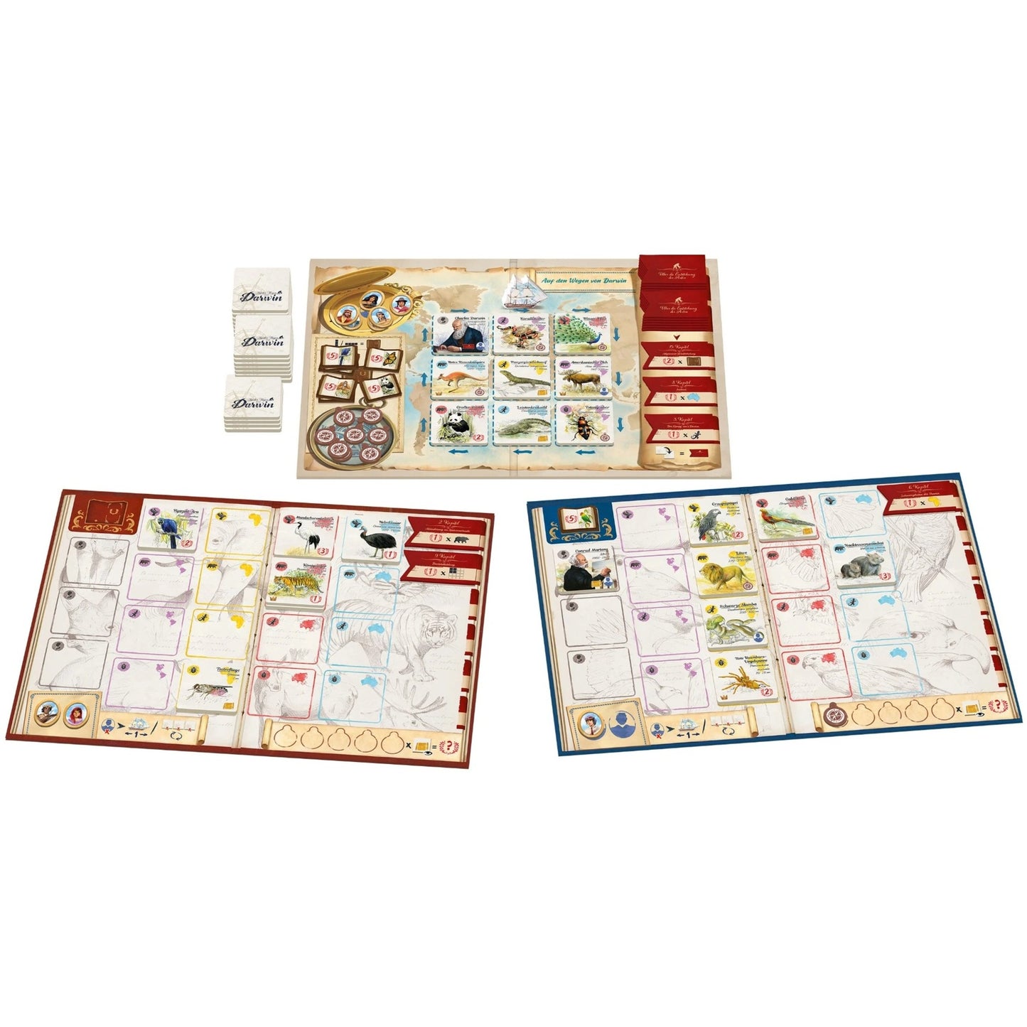 Asmodee Auf den Wegen von Darwin