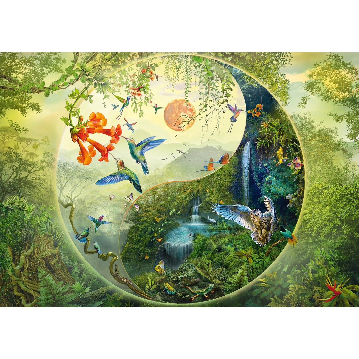 Silvia Christoph: Yin & Yang Im Wald der Kolibris, Puzzle