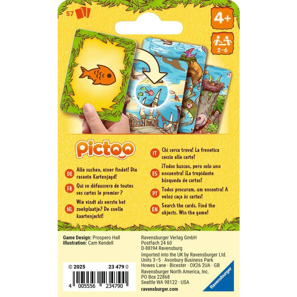 Pictoo Dino-Welt, Kartenspiel
