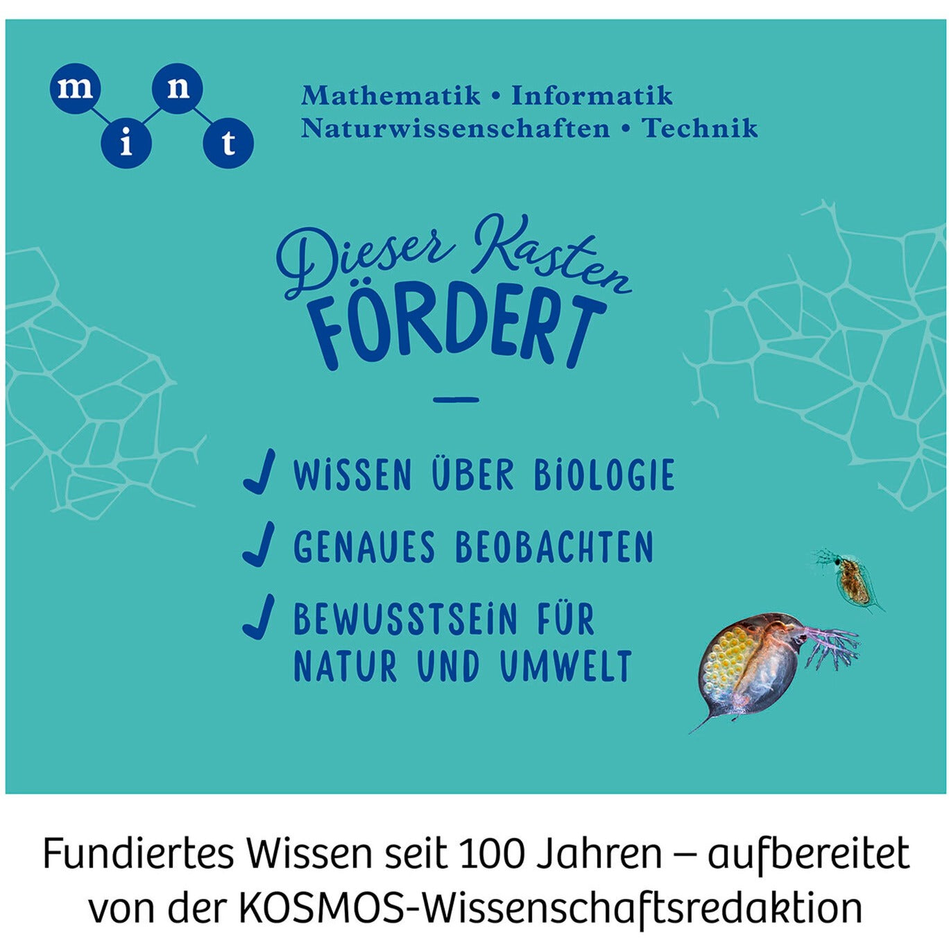 Mikroskop, Experimentierkasten