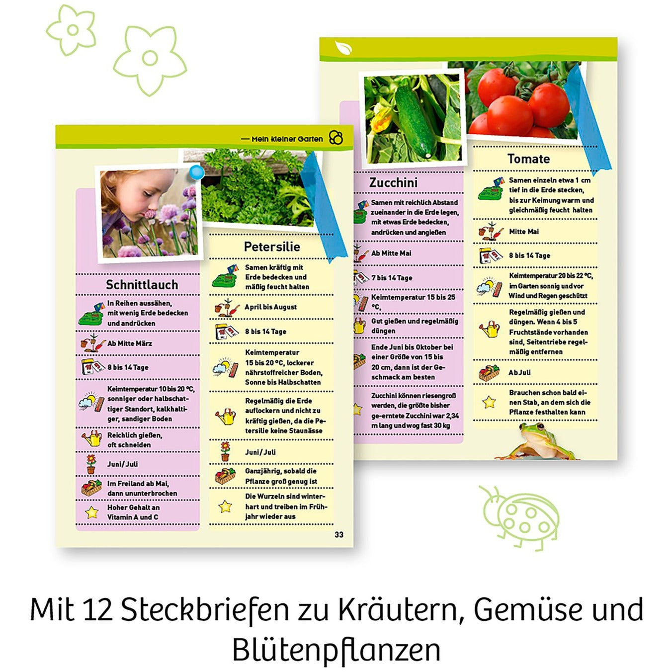 Mein erstes Gewächshaus, Experimentierkasten