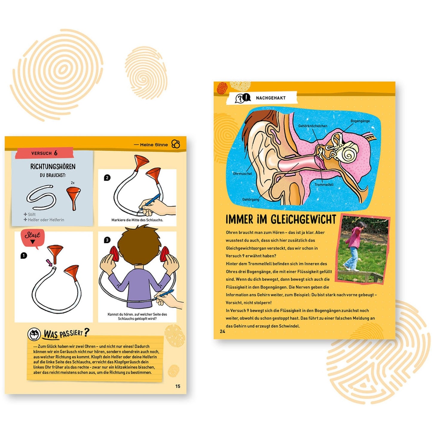 Kosmos Mein erster Experimentierkasten - Körper & Sinne