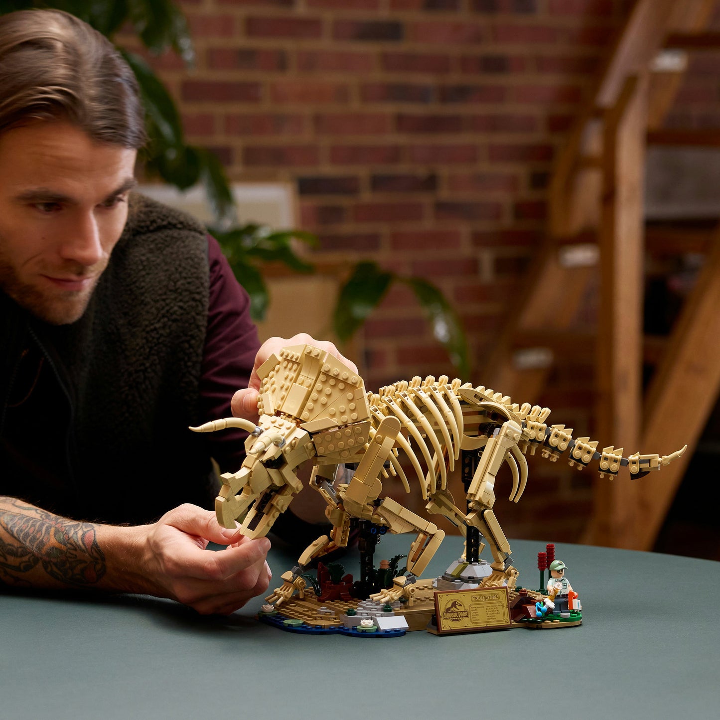 77985 Jurassic World Dinosaurier-Fossilien: Triceratops, Konstruktionsspielzeug