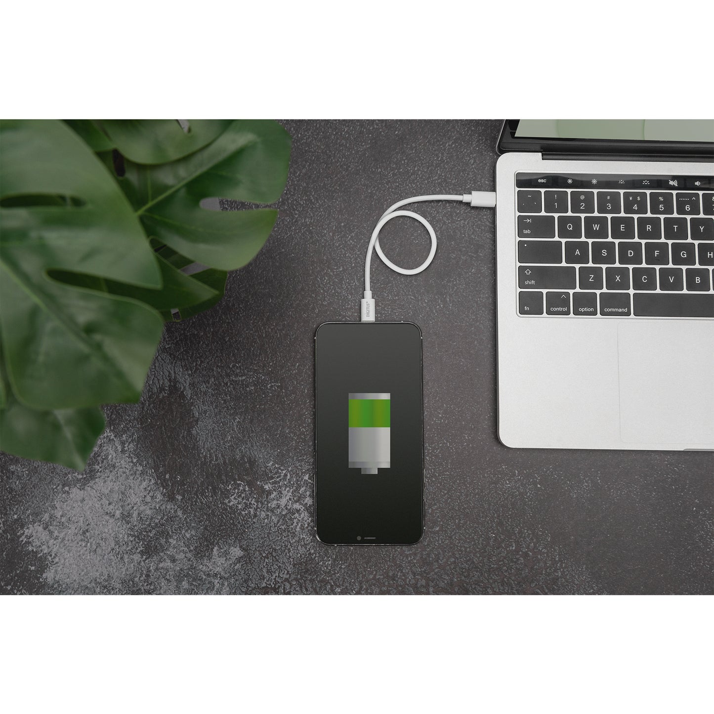 USB 2.0 Daten-/Ladekabel USB-C > Lightning, MFI zertifiziert