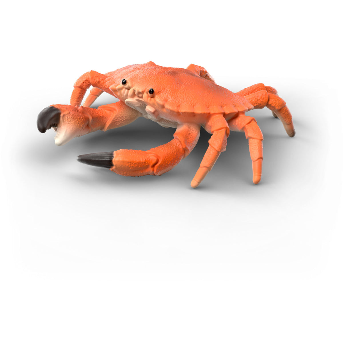 Wild Life Meerestiere Entdecker Set, Spielfigur