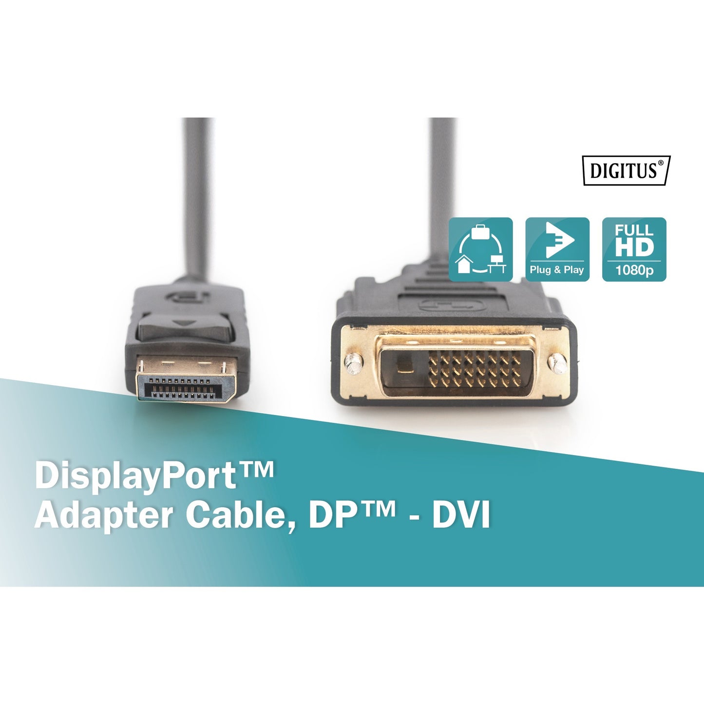 Digitus Adapterkabel DisplayPort > DVI-D (schwarz, 3 Meter, mit Schraubbefestigung)