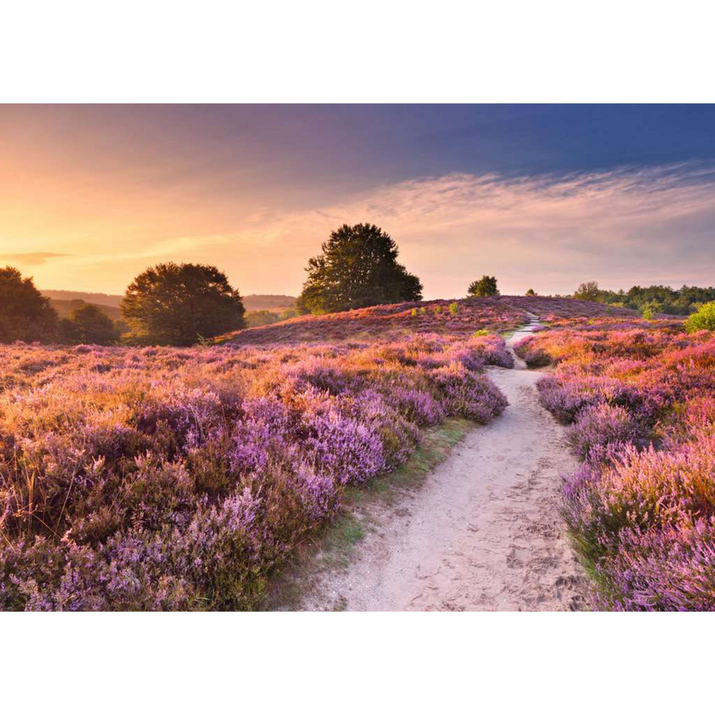 Puzzle Beautiful Walkways - Traumpfad in Rosa