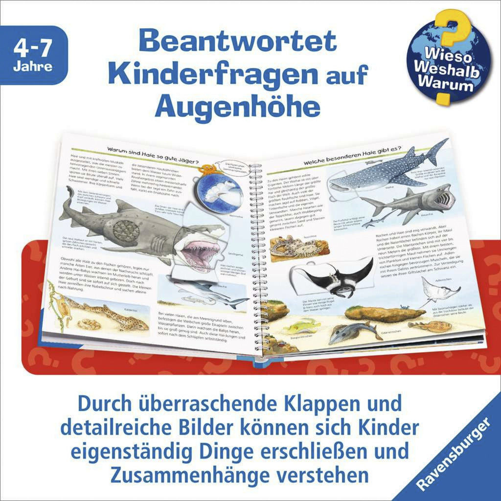 Wieso? Weshalb? Warum? Band 27 - Wir entdecken Meerestiere, Lernbuch
