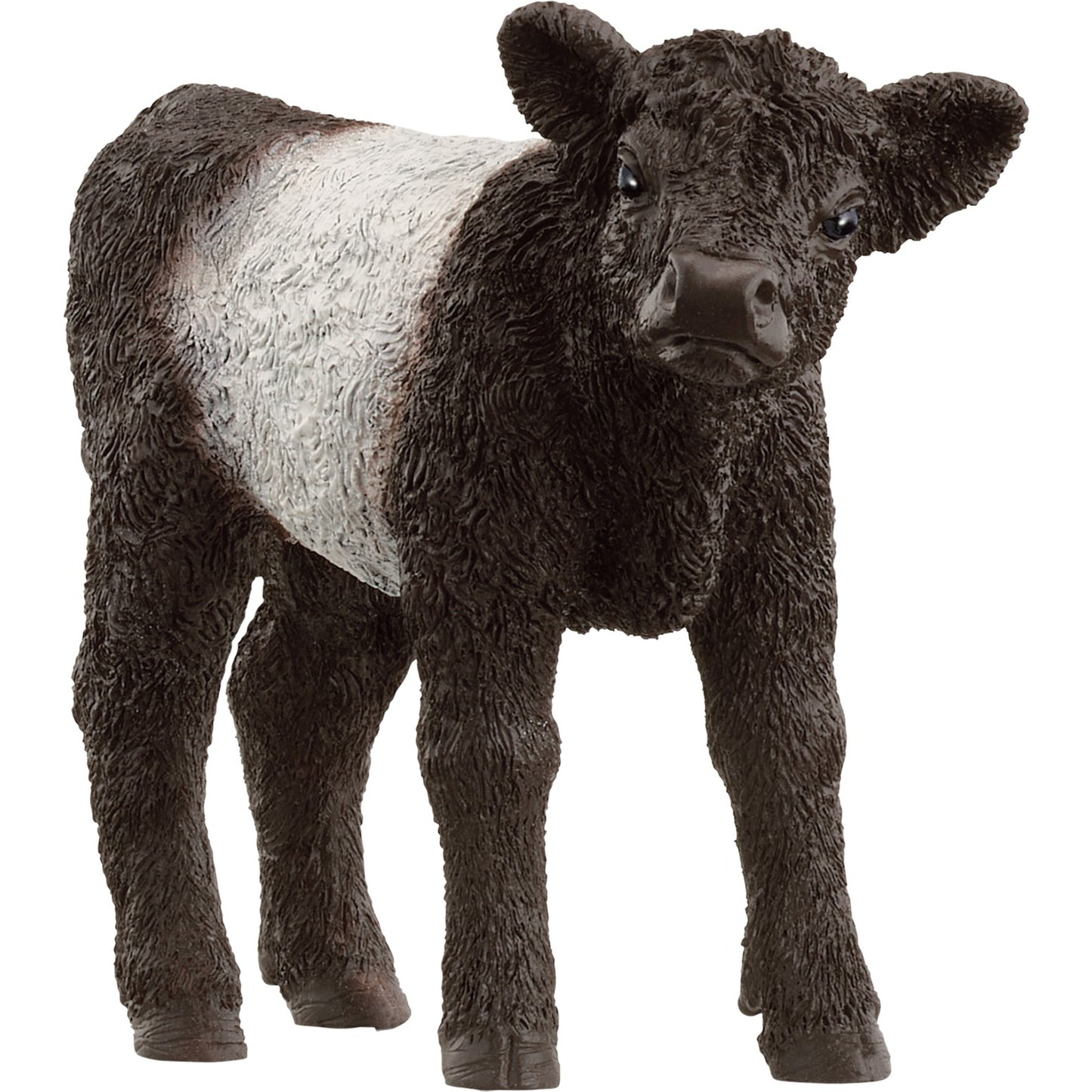 Schleich Farm World Galloway Kalb