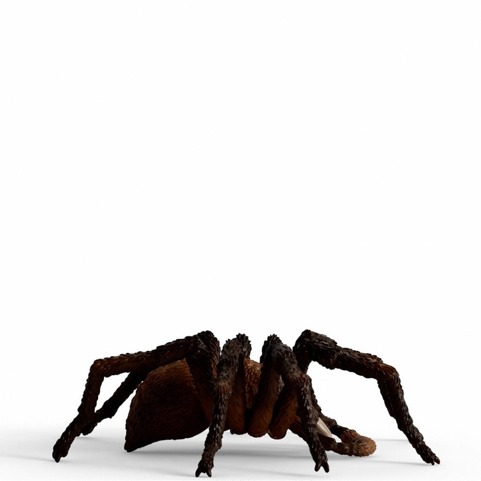 Schleich Wizarding World Harry Potter - Aragog