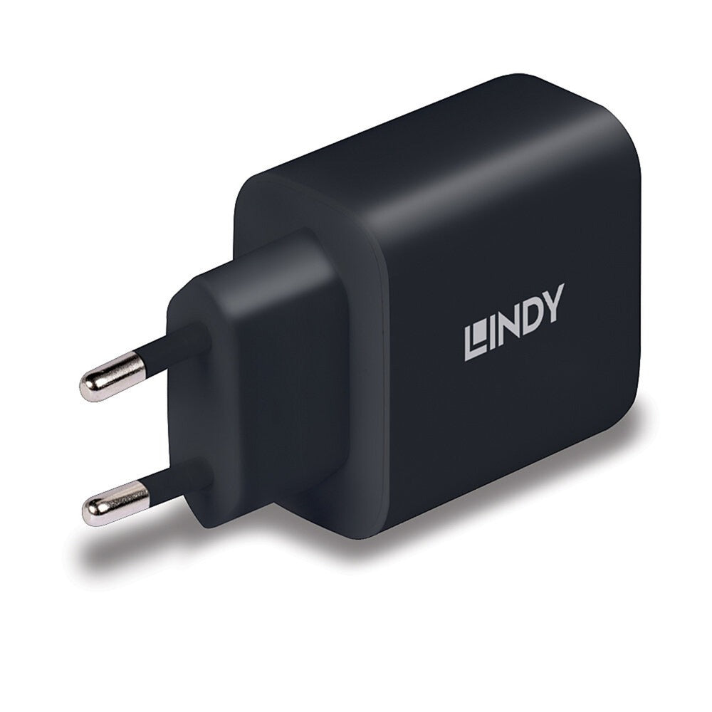 Lindy Ladegerät 65 Watt USB-C GaN Charger (schwarz, 1x USB-C PD 3.0, GaN, PPS)