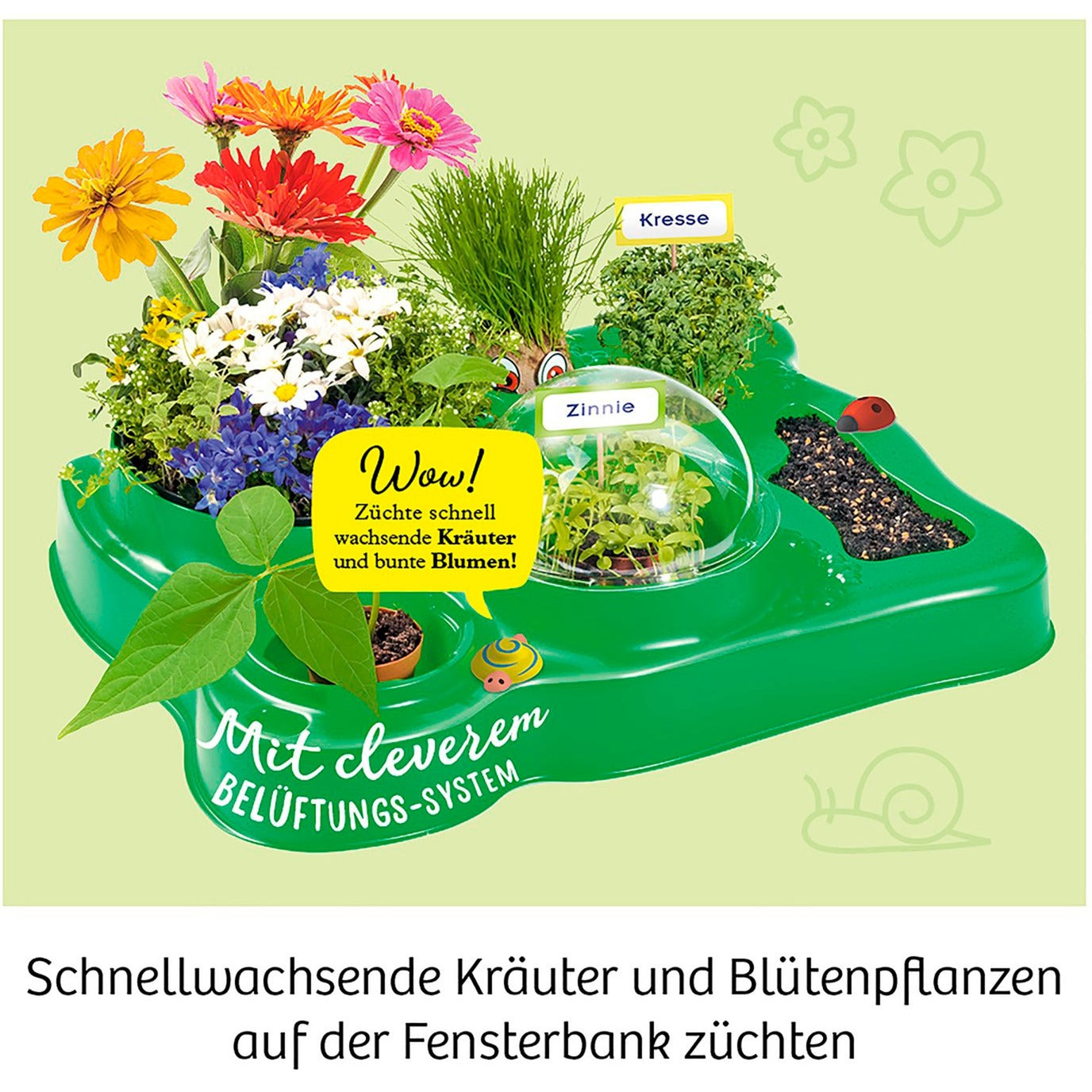 Mein erstes Gewächshaus, Experimentierkasten