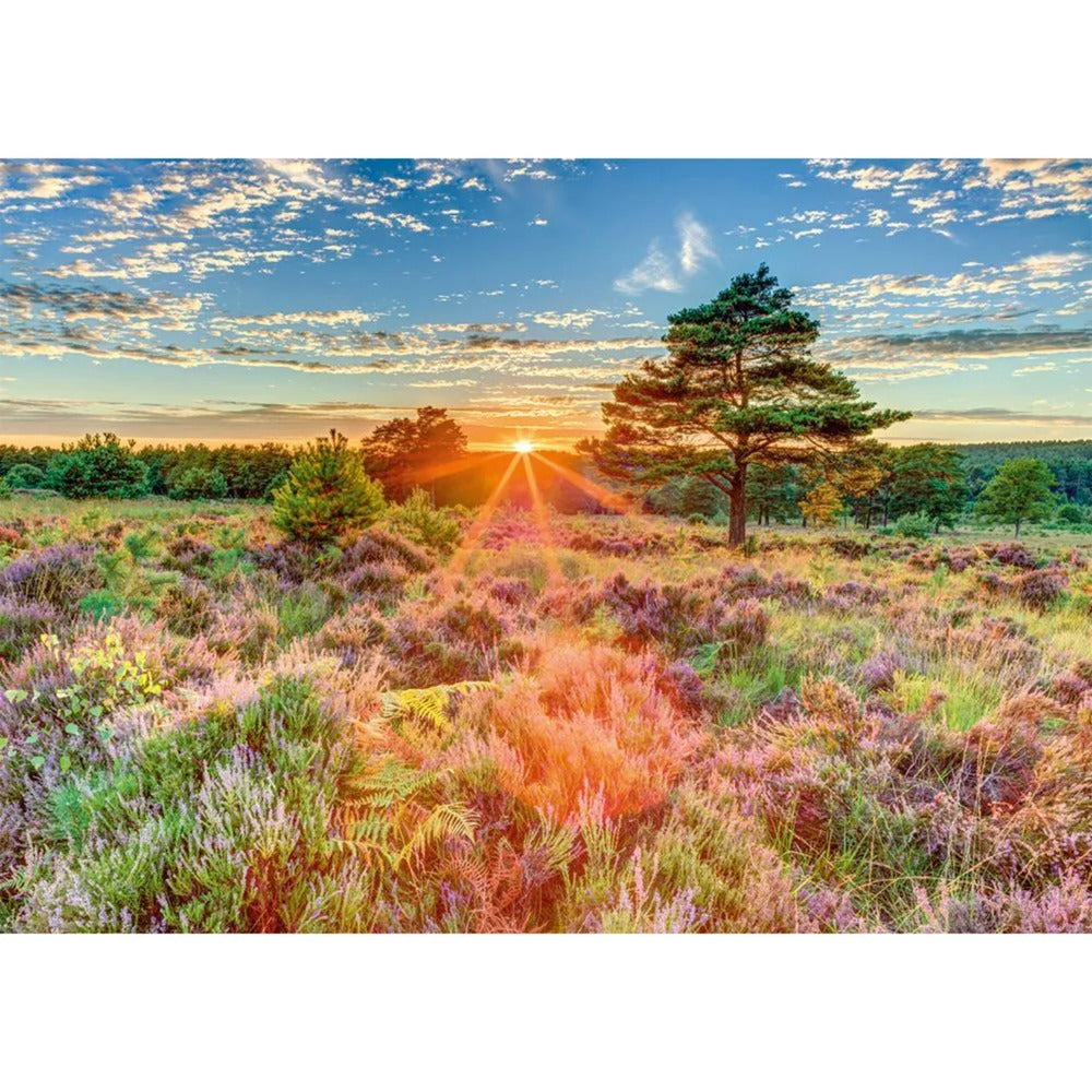 Schmidt Spiele Heide im Sonnenuntergang (1000 Teile)