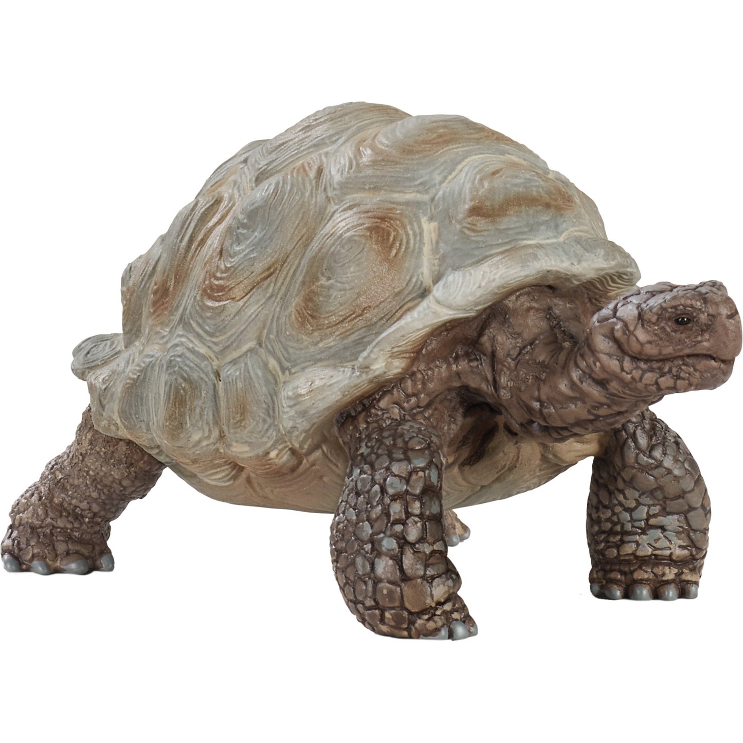 Schleich Wild Life Riesenschildkröte