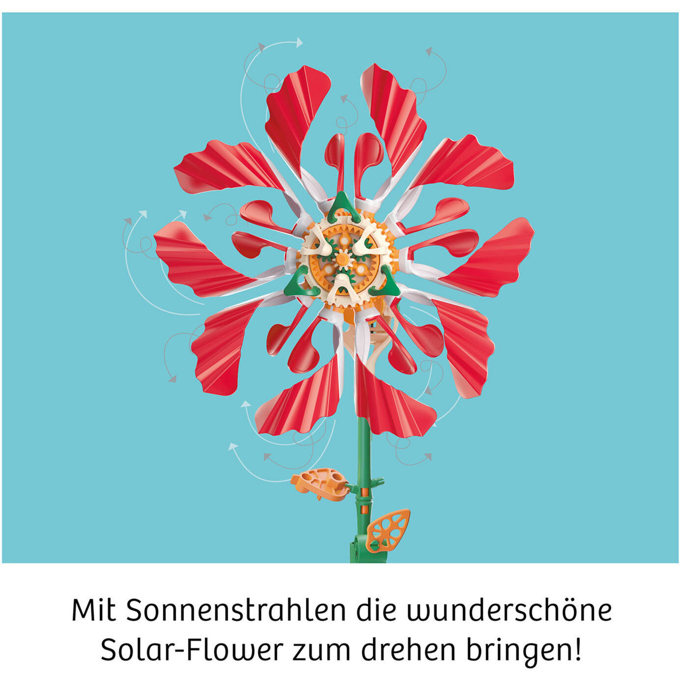 Solar-Flower, Experimentierkasten