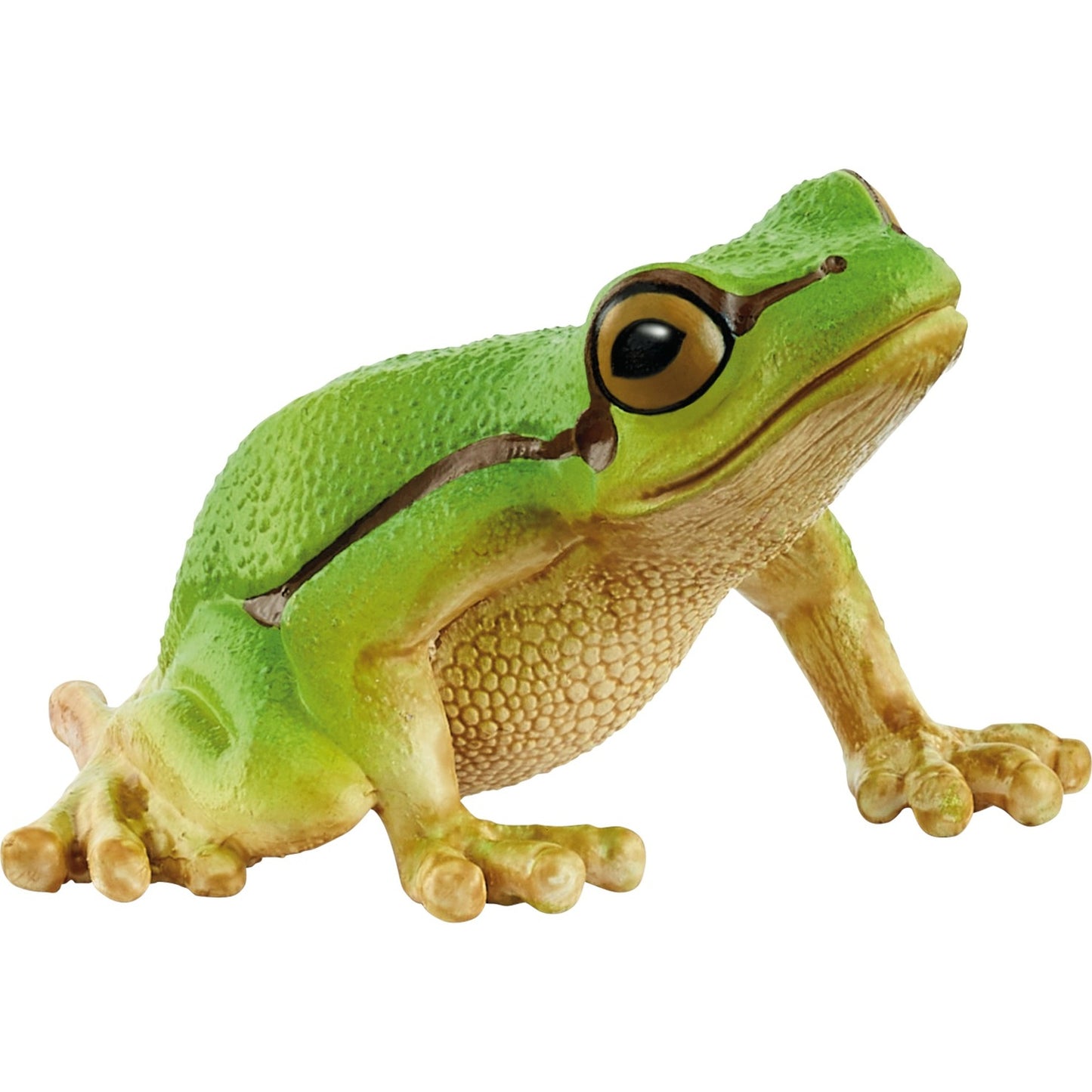 Wild Life Europäischer Laubfrosch, Spielfigur