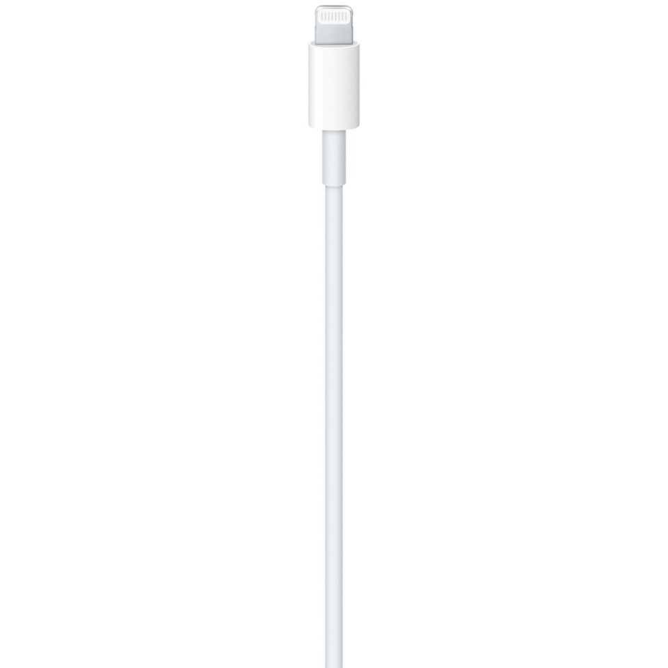 Apple USB Adapterkabel, USB-C Stecker > Lightning Stecker (weiss, 1 Meter, PD, Laden mit bis zu 100 Watt)