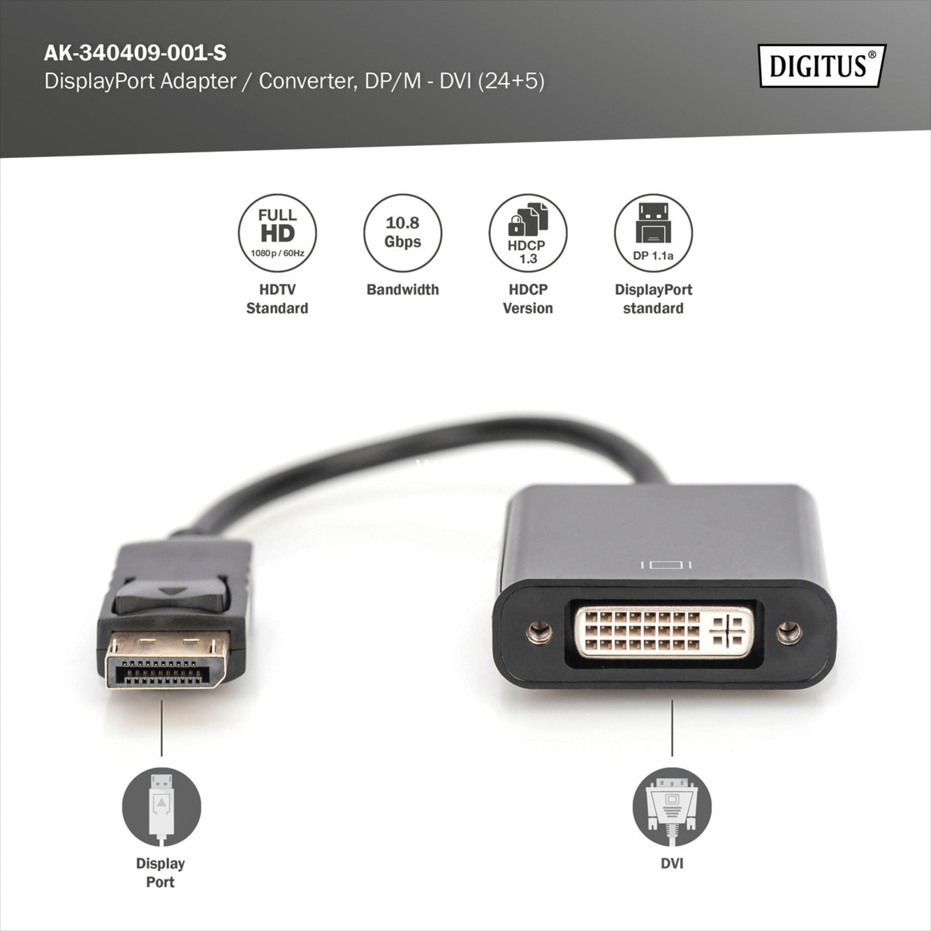DisplayPort - DVI Adapter / Konverter