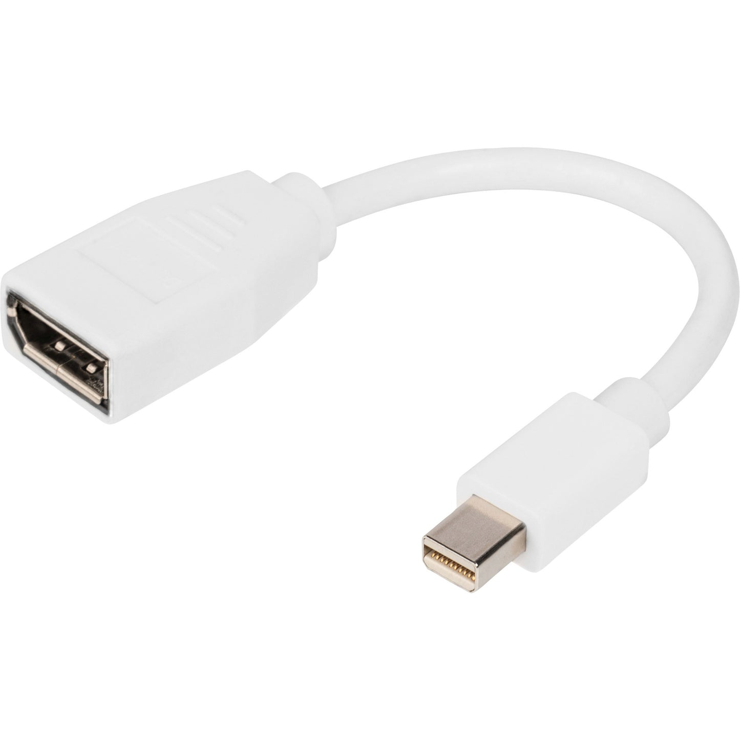 DisplayPort Adapterkabel