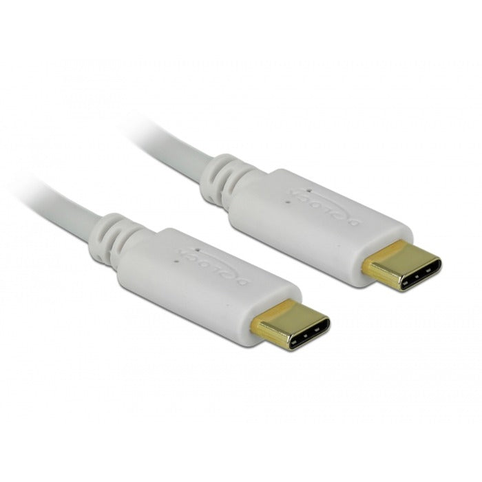 DeLOCK USB Ladekabel, USB-C Stecker > USB-C Stecker (weiss, 15cm, PD, Laden mit bis zu 100 Watt)