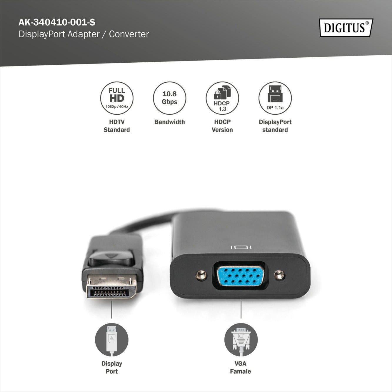 DisplayPort Adapter / Konverter