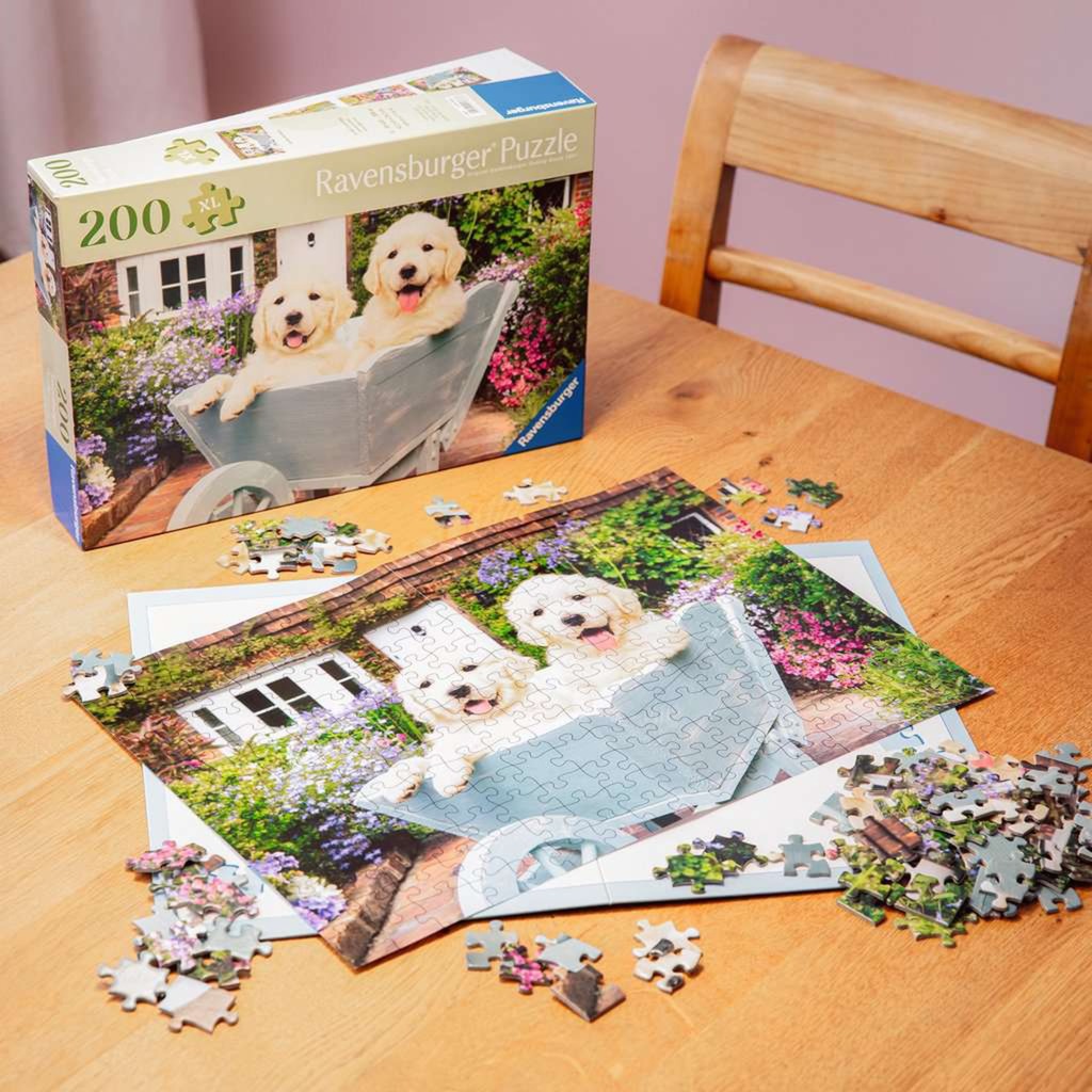 Feel Well & Puzzle - Golden Retriever