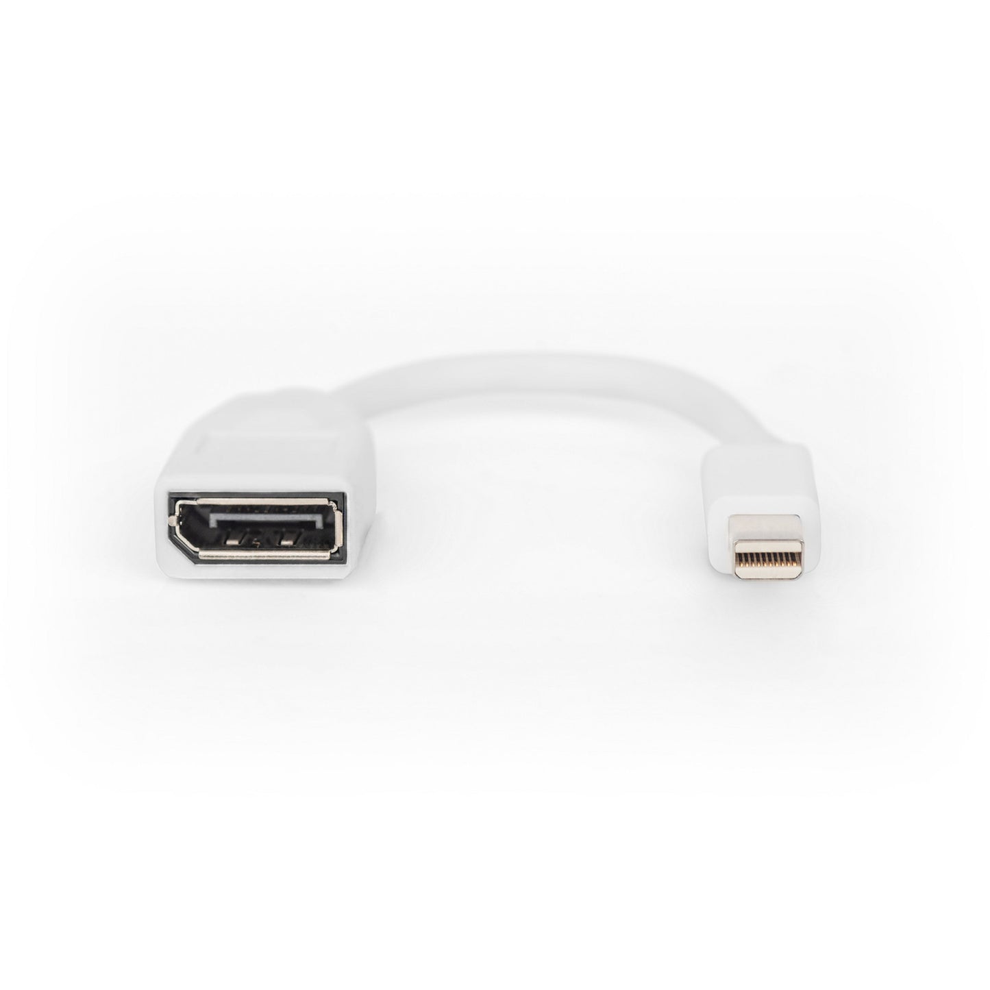 DisplayPort Adapterkabel