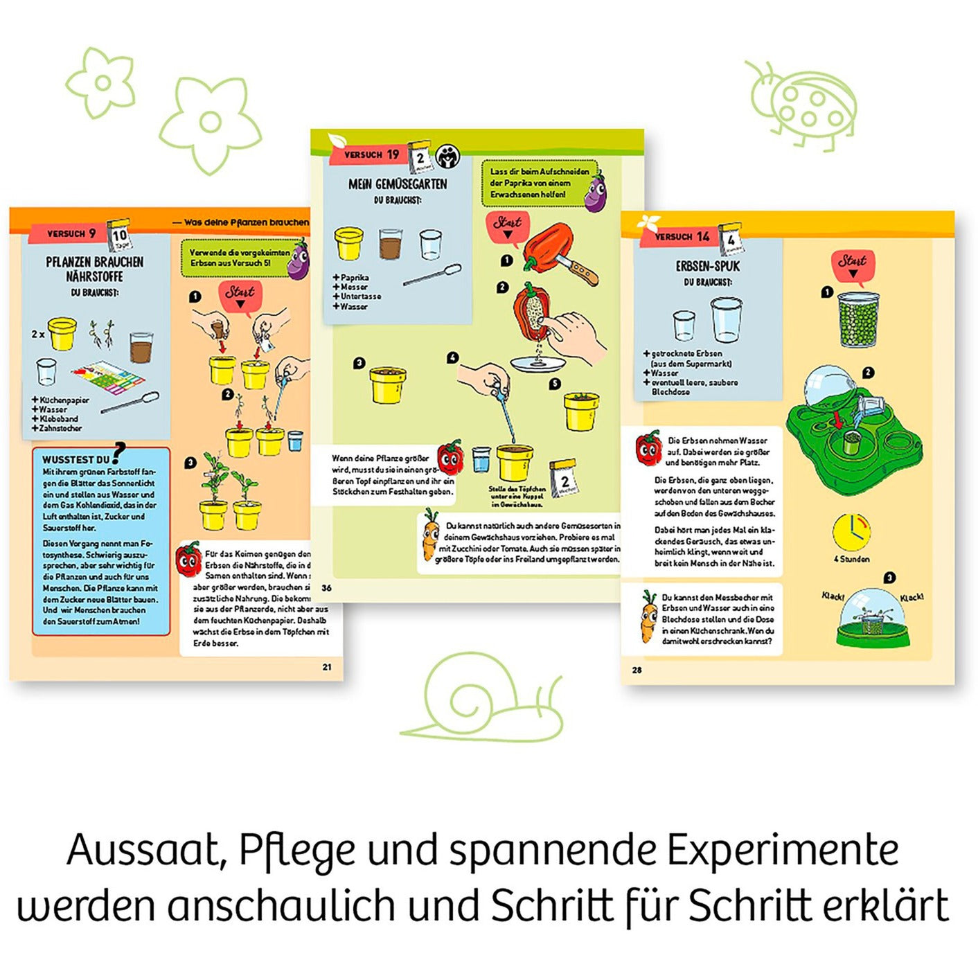 Mein erstes Gewächshaus, Experimentierkasten