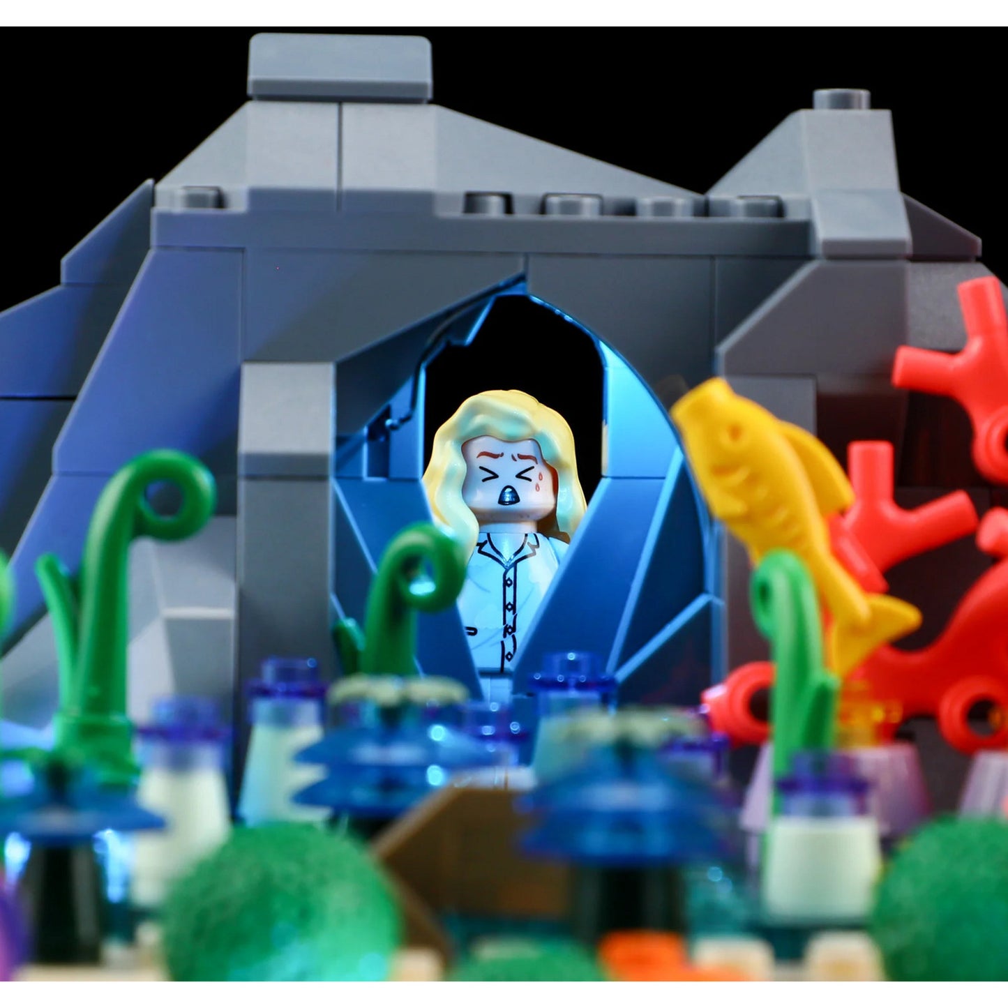 Schildkrötenriff-Traum, Konstruktionsspielzeug