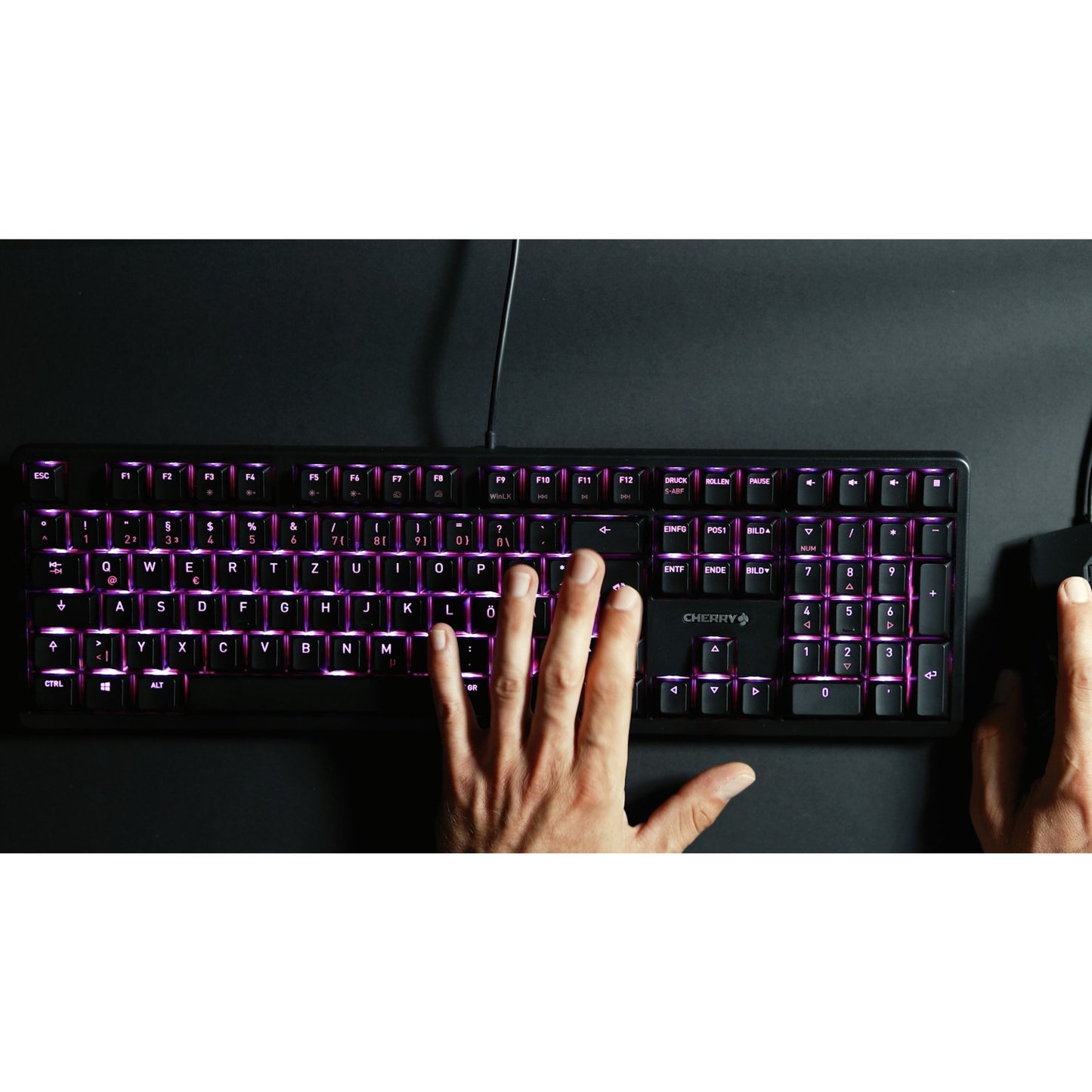 Cherry G80-3000N RGB (schwarz, DE-Layout, Cherry MX Silent Red)