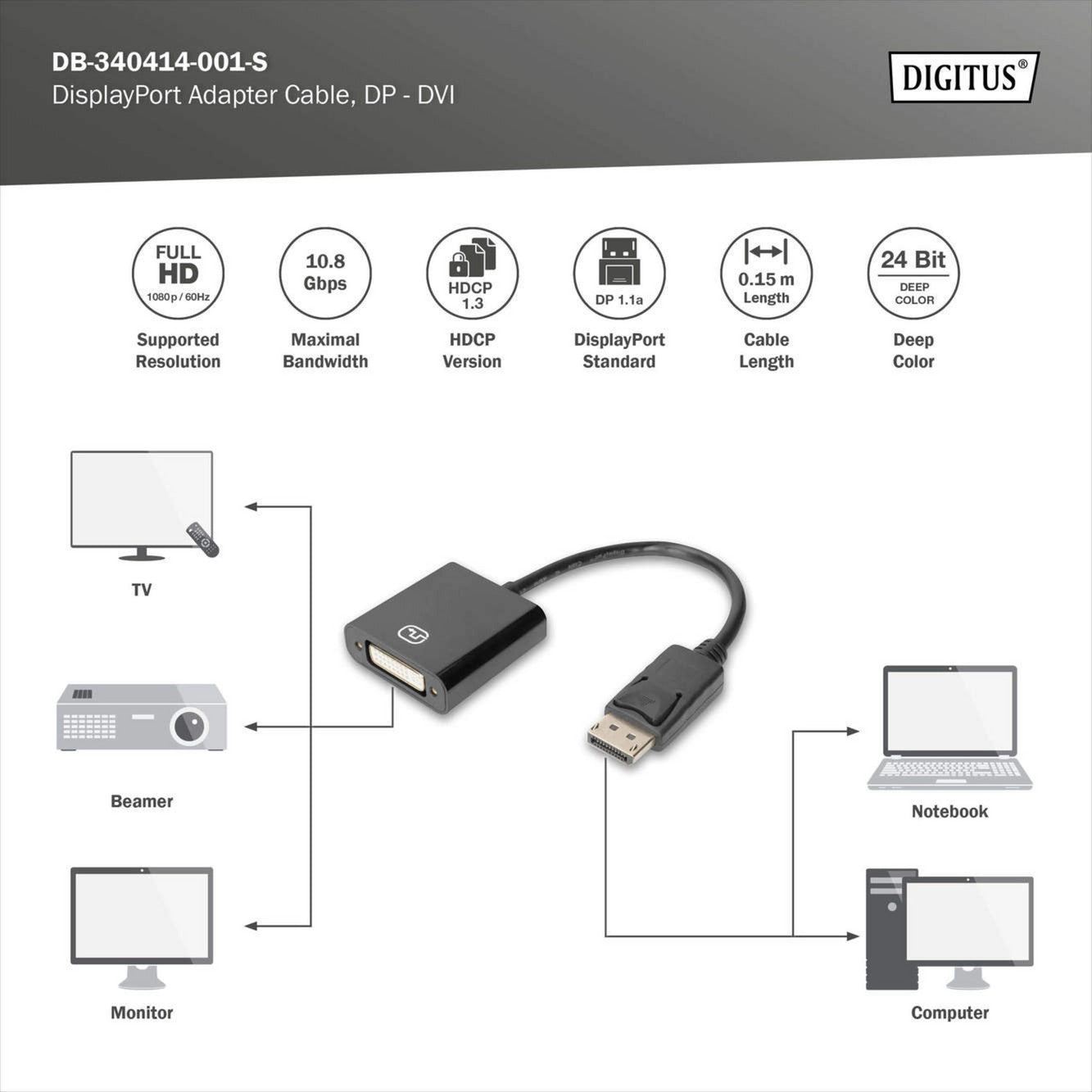 DisplayPort auf DVI Adapter / Konverter