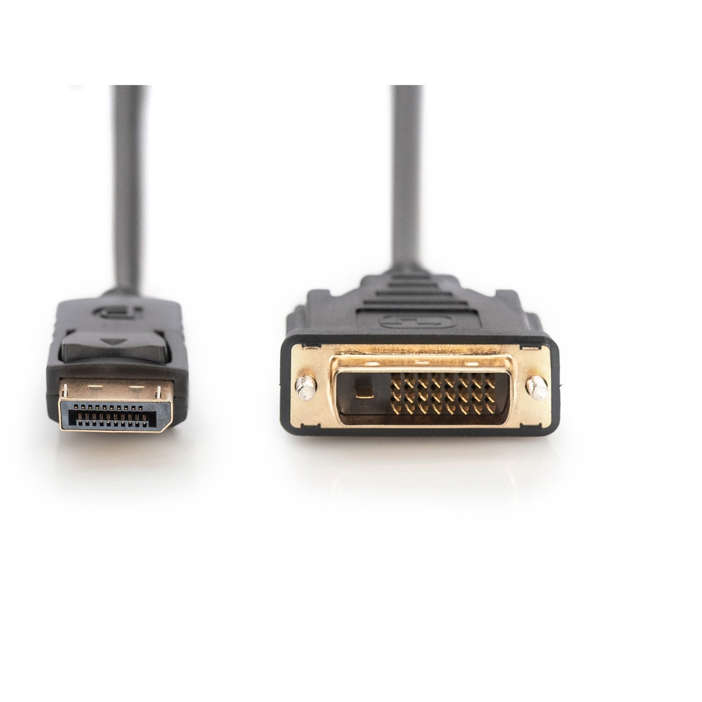 Digitus Adapterkabel DisplayPort > DVI-D (schwarz, 2 Meter, mit Schraubbefestigung)