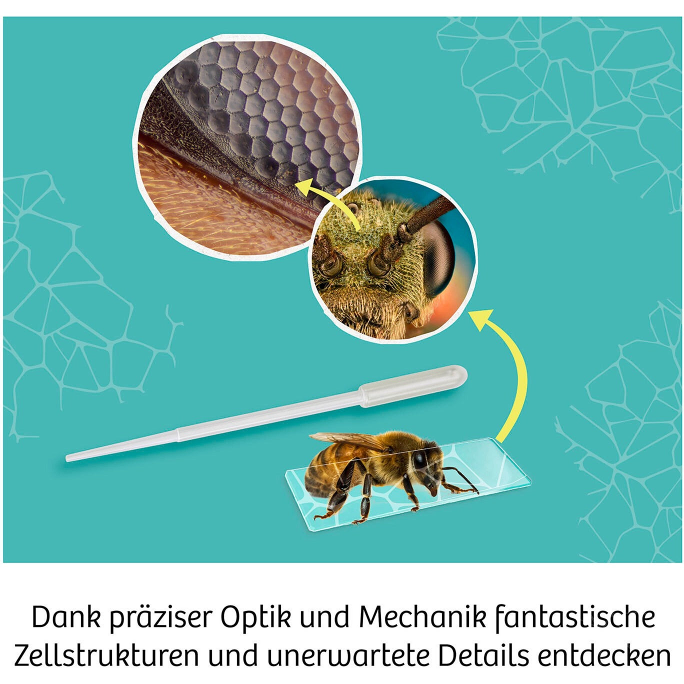 Mikroskop, Experimentierkasten