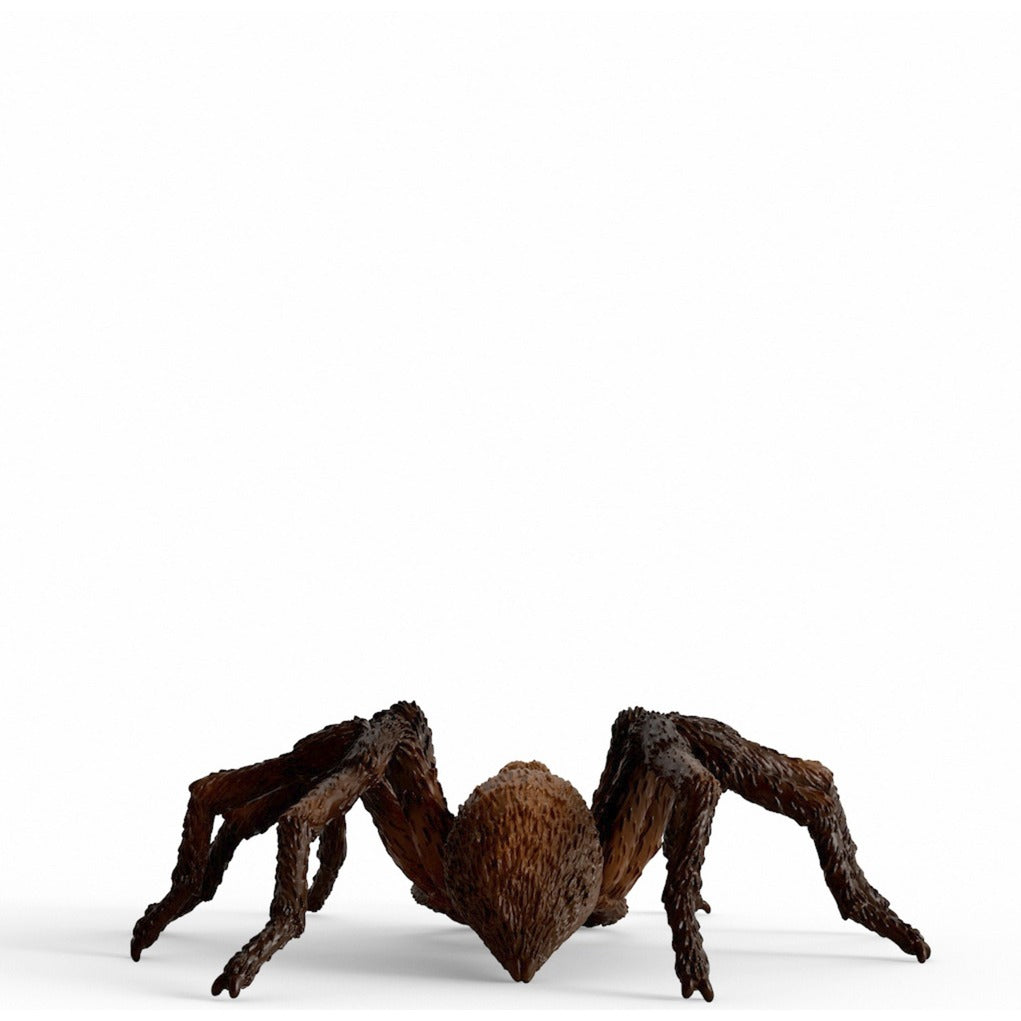 Schleich Wizarding World Harry Potter - Aragog