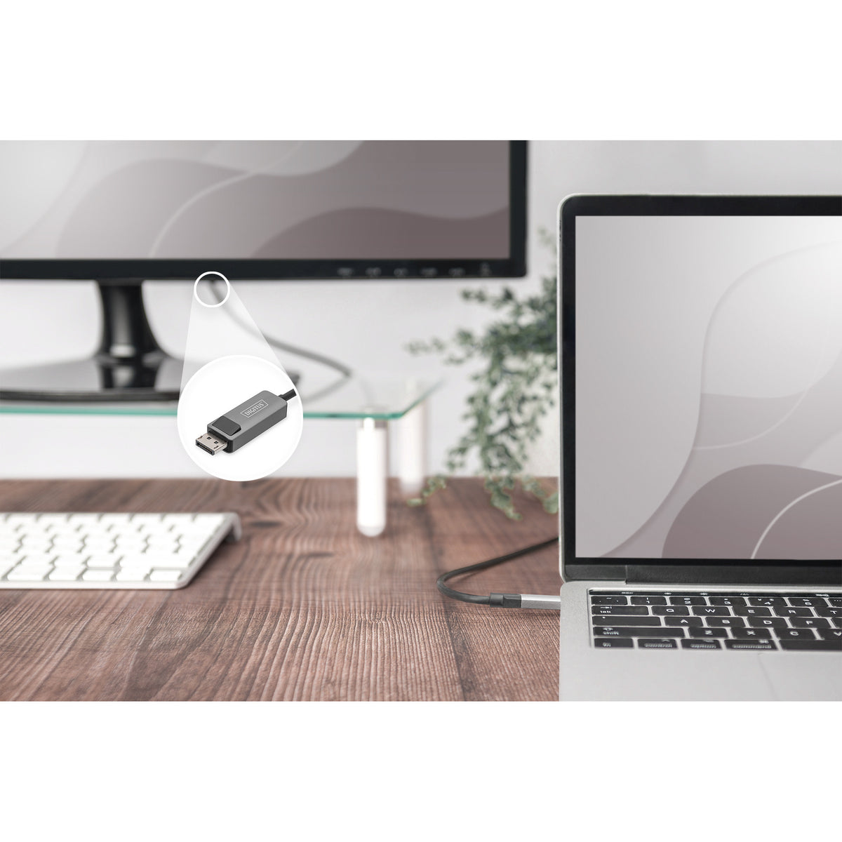 USB4 Gen 2x2 Adapterkabel USB-C > DisplayPort
