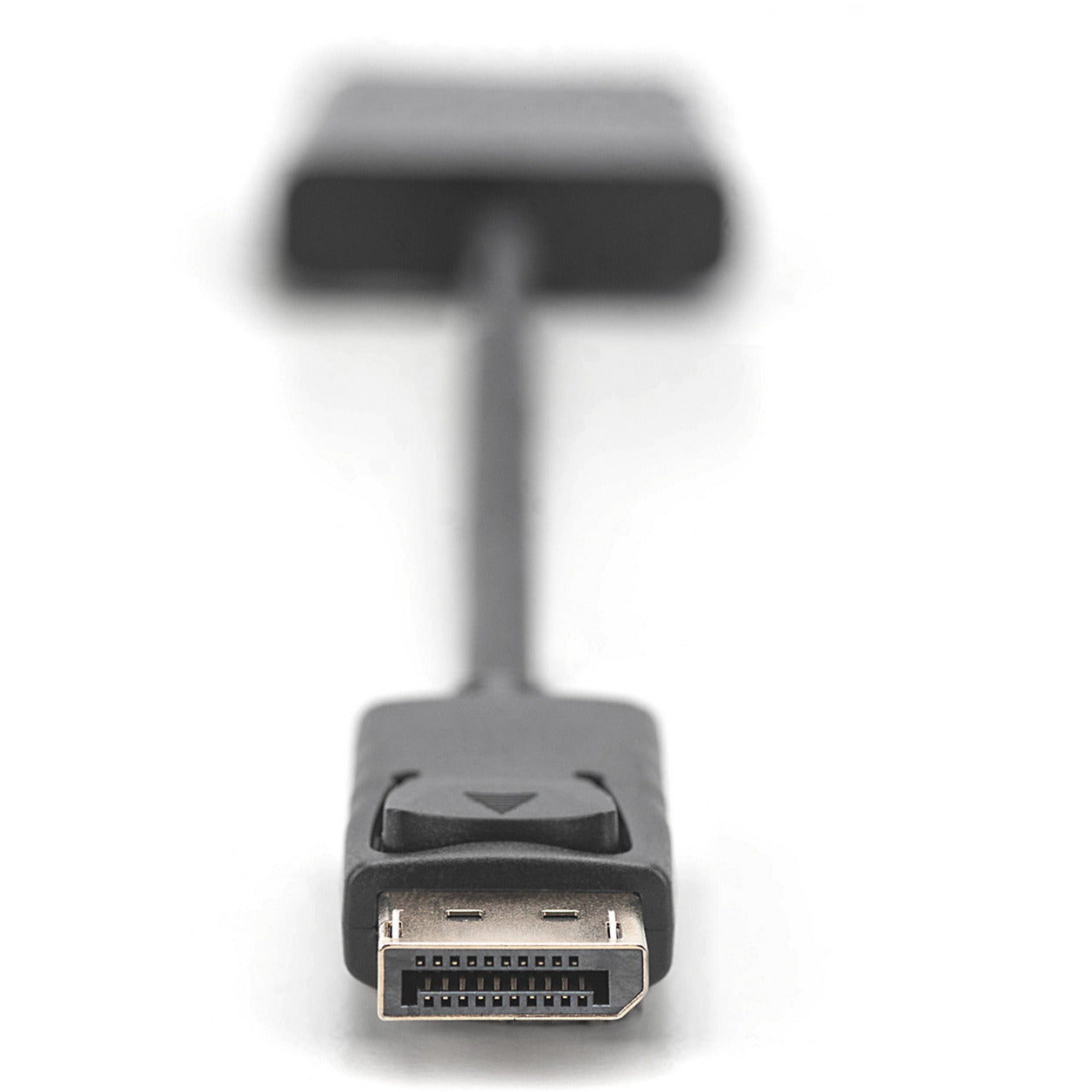 DisplayPort auf DVI Adapter / Konverter