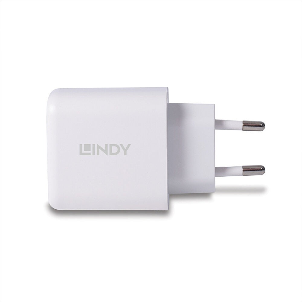 Lindy Ladegerät 65 Watt USB-A & C GaN Charger (weiss, 1x USB-A, 1x USB-C PD 3.0, GaN, PPS)