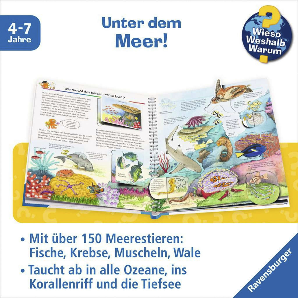 Wieso? Weshalb? Warum? Band 27 - Wir entdecken Meerestiere, Lernbuch