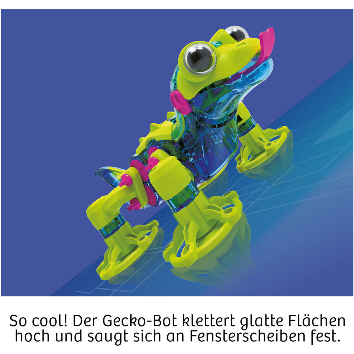 Gecko Bot, Experimentierkasten