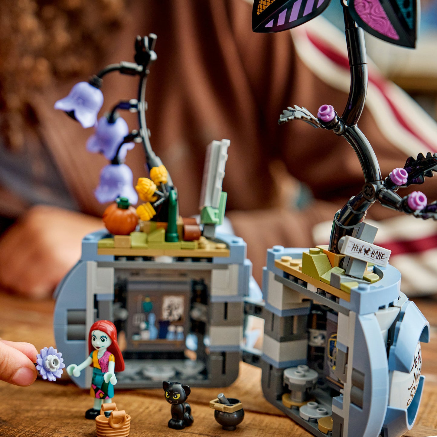 43288 Disney Sallys Blumentopf, Konstruktionsspielzeug