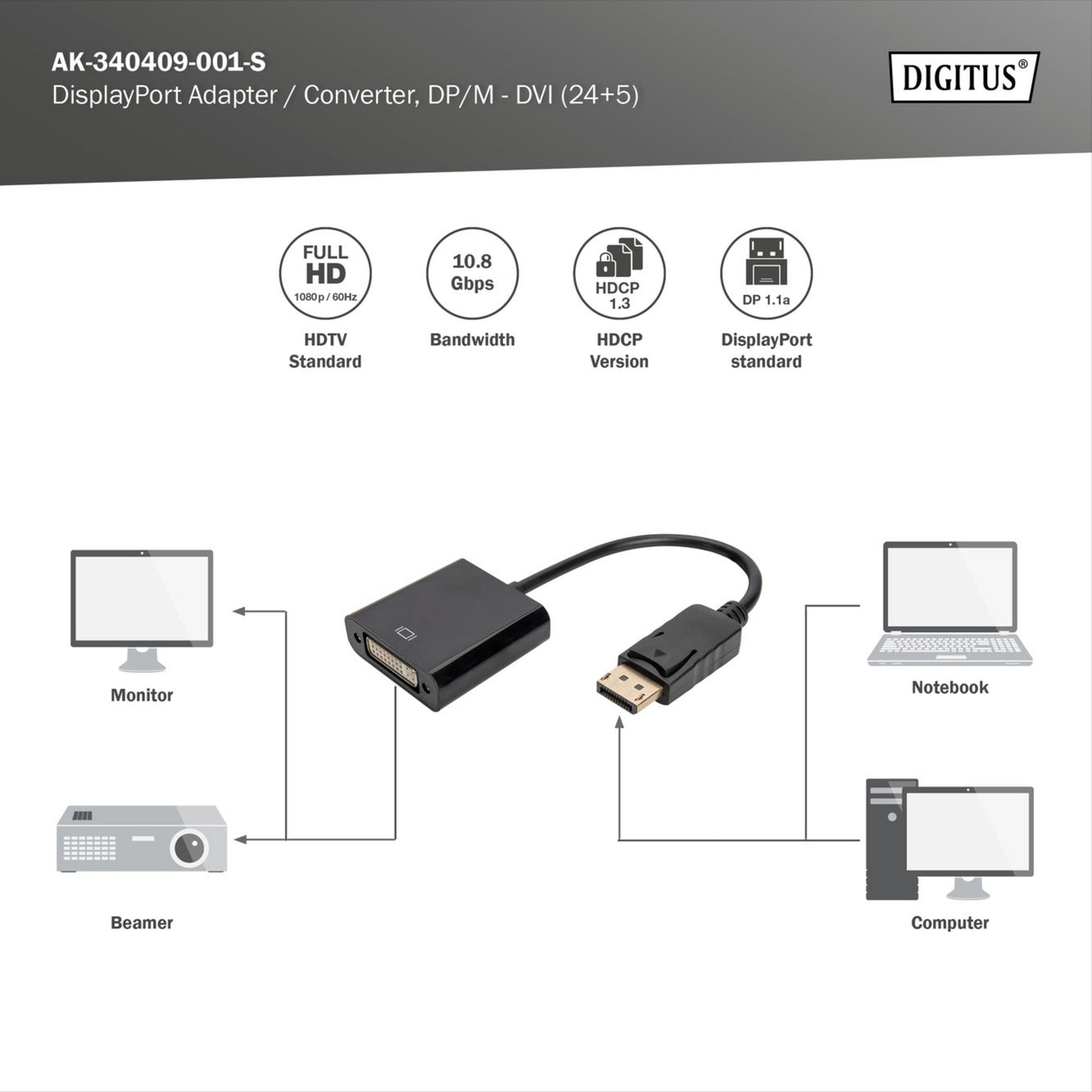 DisplayPort - DVI Adapter / Konverter