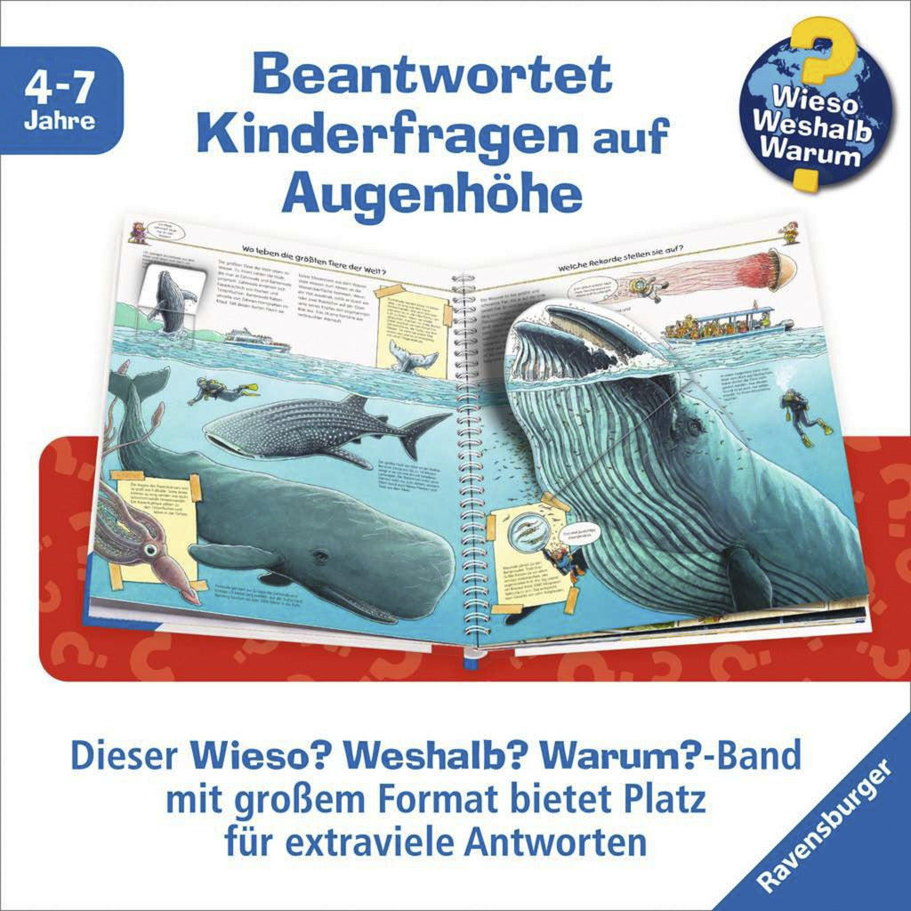 Wieso? Weshalb? Warum? - Gross, grösser, am grössten (Riesenbuch), Lernbuch
