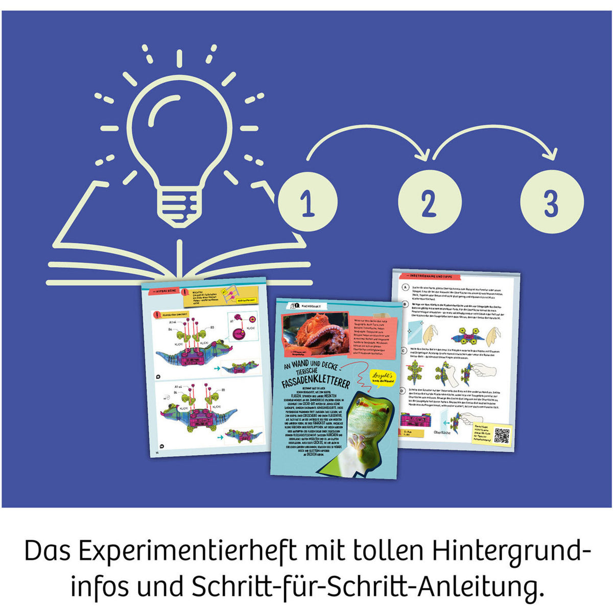Gecko Bot, Experimentierkasten