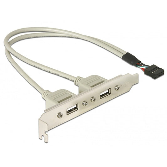 DeLOCK USB 2.0 Slotblende, 10 Pin Header > 2x USB-A Buchse (grau, 30cm Kabel)