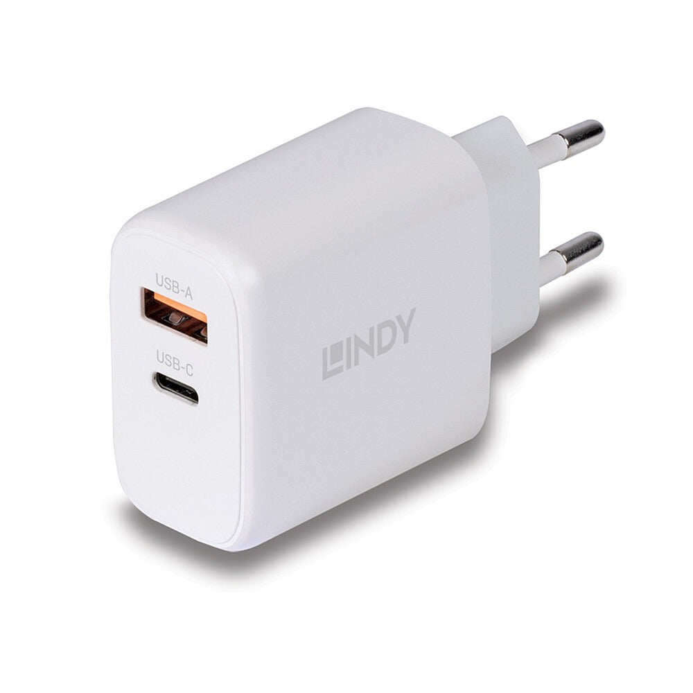 Lindy Ladegerät 65 Watt USB-A & C GaN Charger (weiss, 1x USB-A, 1x USB-C PD 3.0, GaN, PPS)