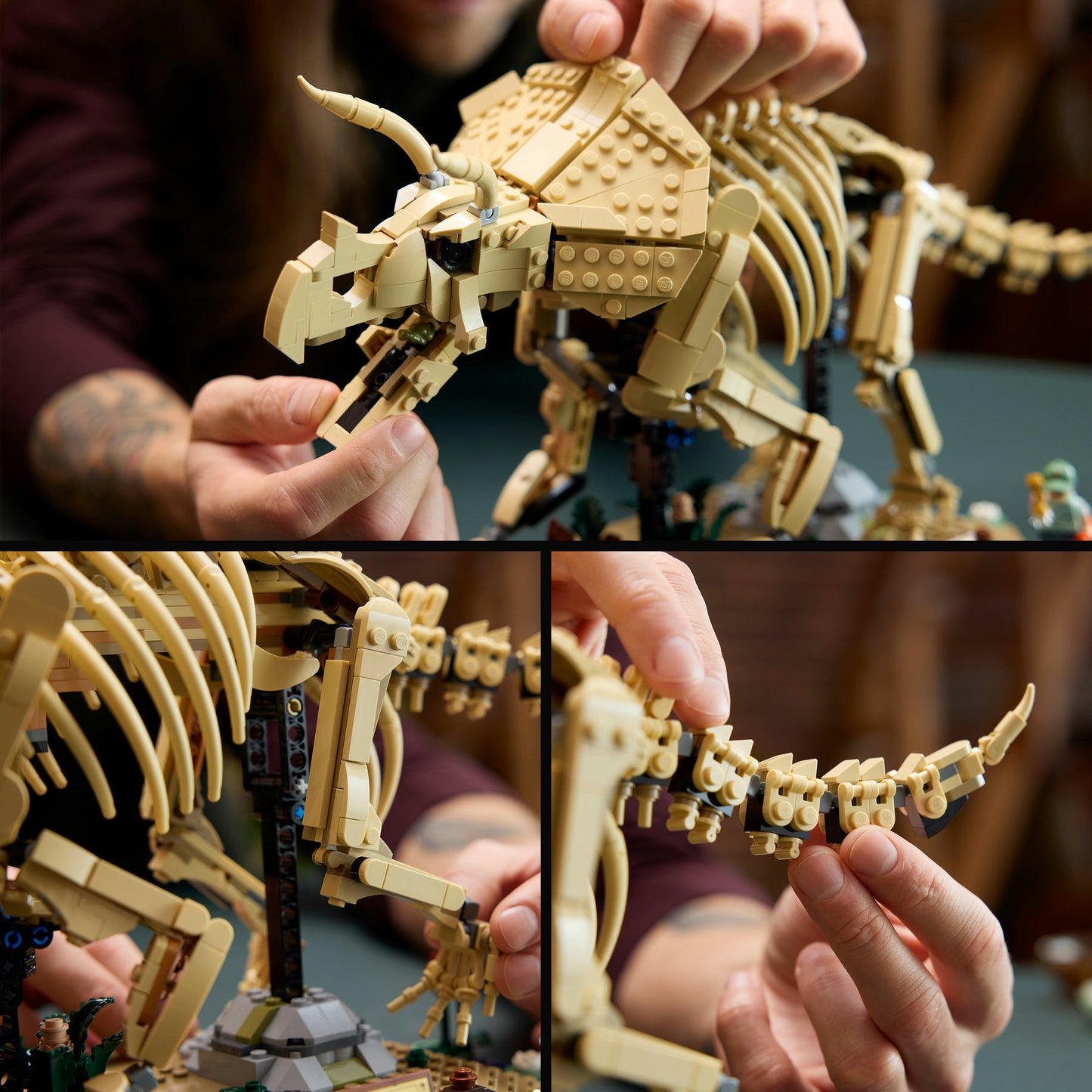 77985 Jurassic World Dinosaurier-Fossilien: Triceratops, Konstruktionsspielzeug