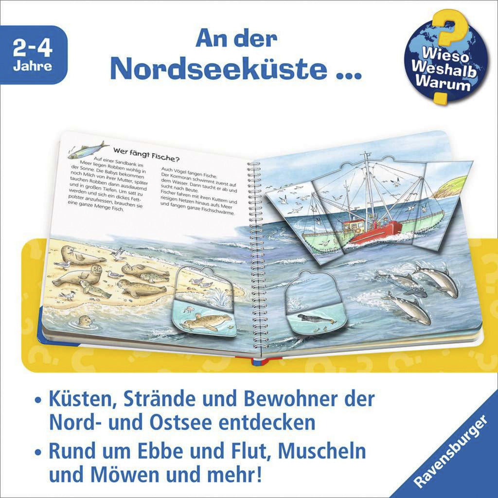 Wieso? Weshalb? Warum? junior Band 17 - Am Meer, Lernbuch