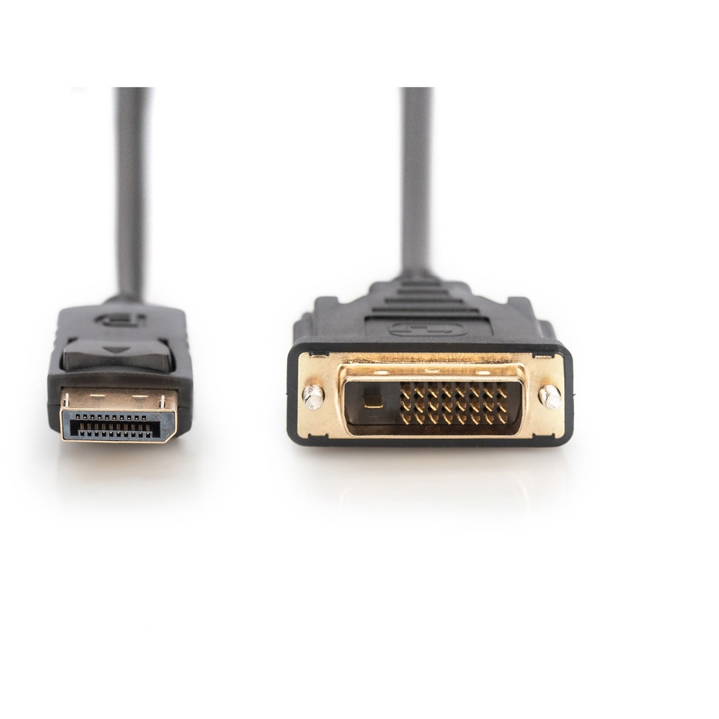 Digitus Adapterkabel DisplayPort > DVI-D (schwarz, 3 Meter, mit Schraubbefestigung)