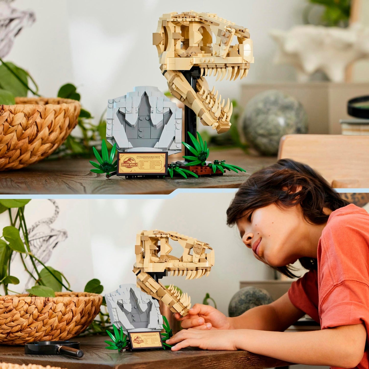 LEGO 76964 Jurassic World Dinosaurier-Fossilien: T.-Rex-Kopf, Konstruktionsspielzeug